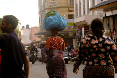 What about safari journey