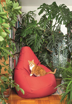 Poltrona Sacco di Zanotta