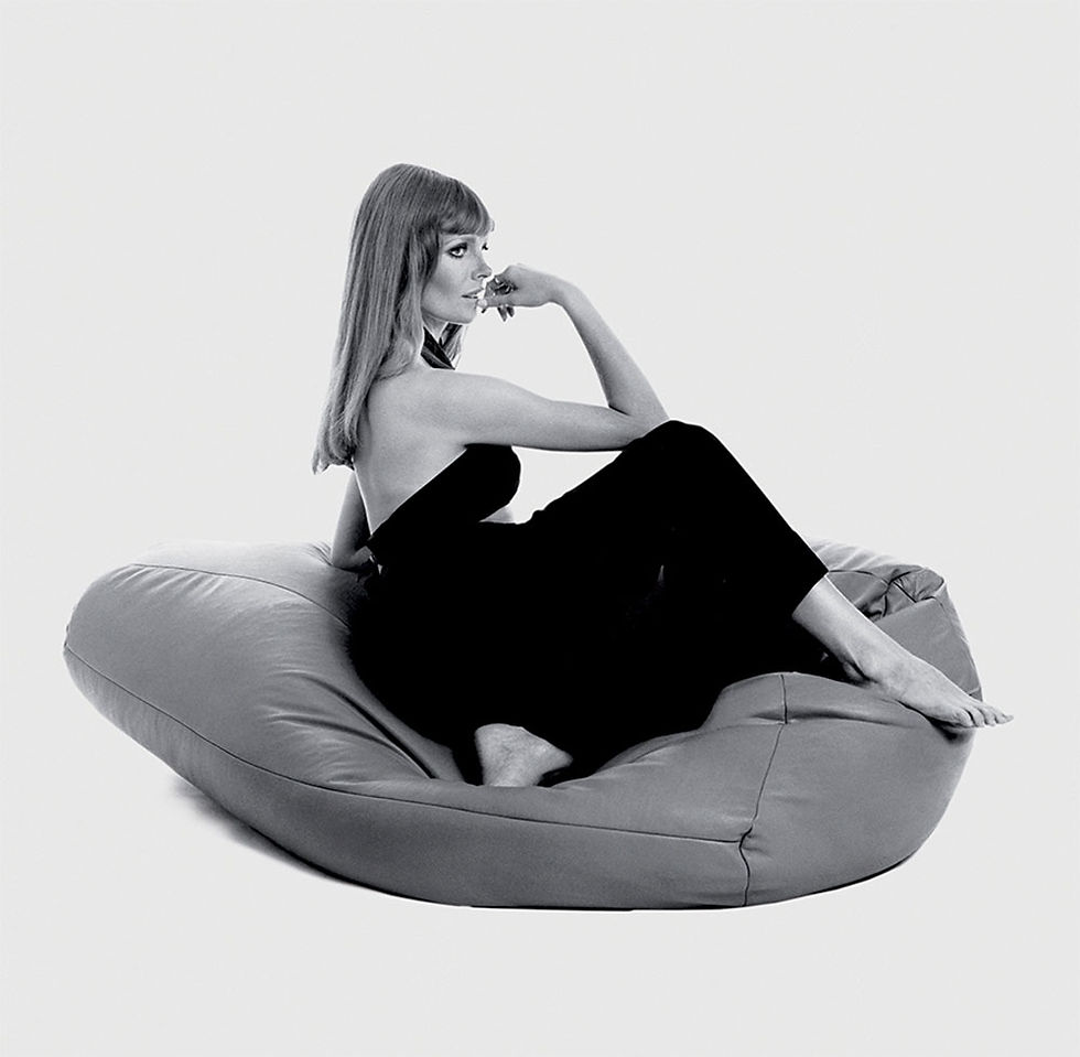 Thumbnail: Poltrona ergonomica SACCO di Zanotta