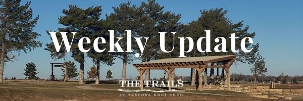 Weekly Development Update