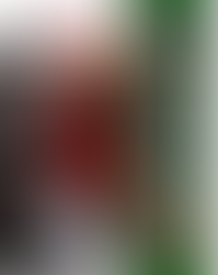 12 days of xmas sale!