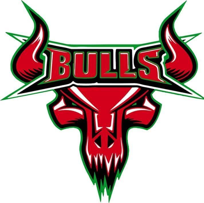 Writer: Mayo Bulls Hockey