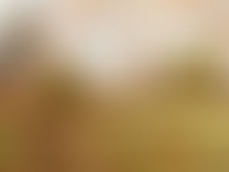 Winter Care in the Garden: Letting Nature Lead the Way