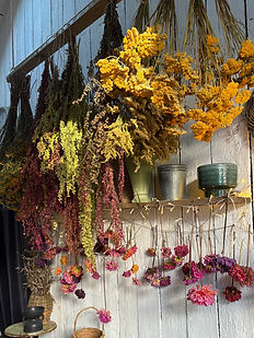 Birch Farm dried flowers Manchester
