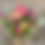 Thumbnail: Luxury Hand Tied Flower Bouquet