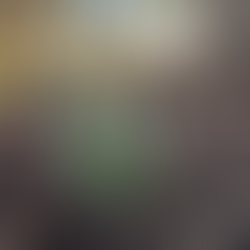 Snowdrops in late Winter