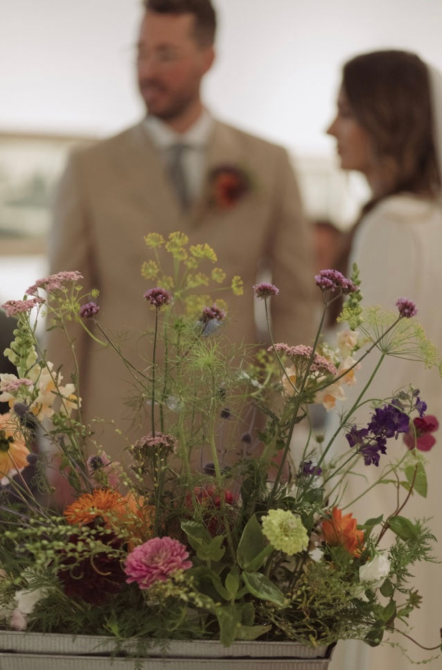 Meadow Boxes