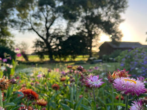 The Birch Farm Flower Club