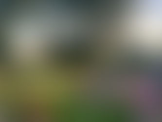 The Birch Farm Flower Club