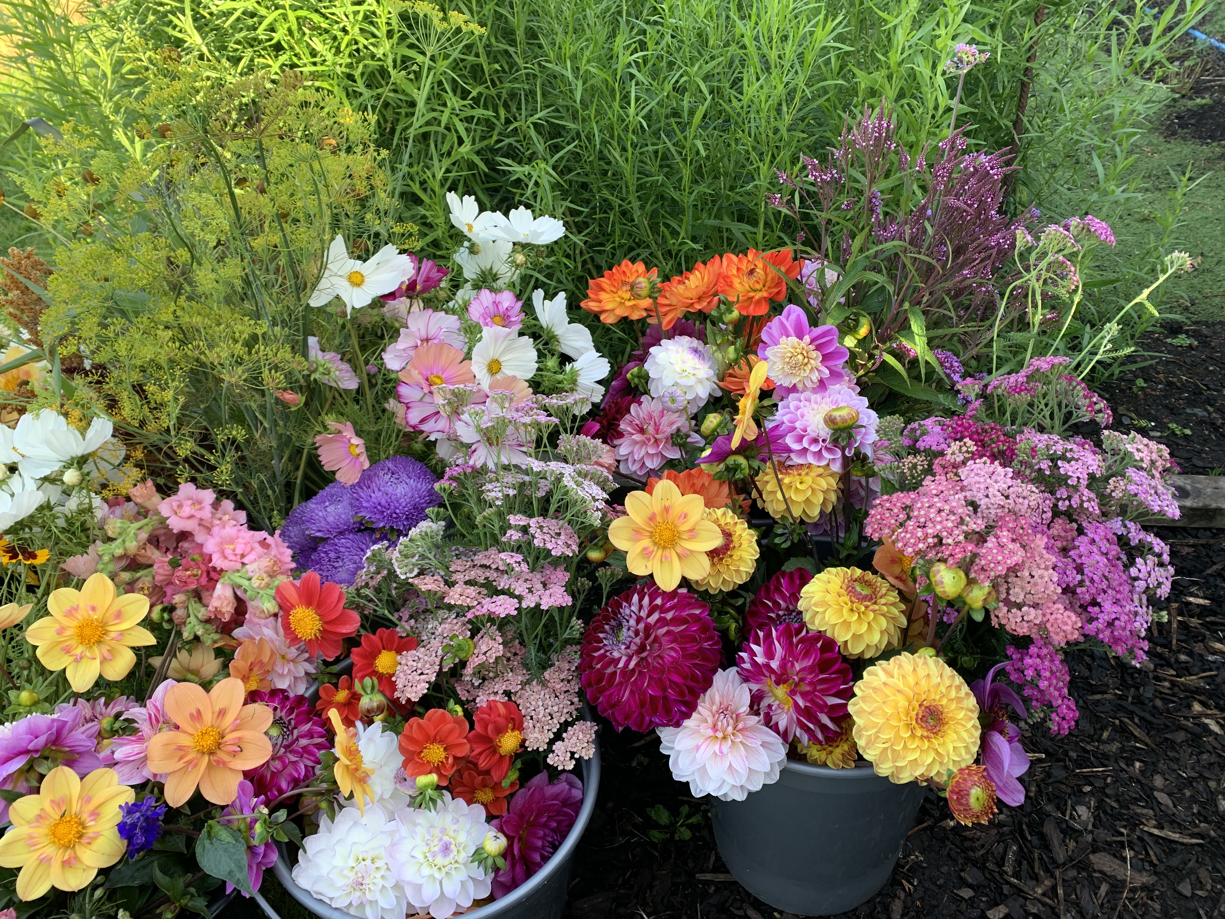 Relaxation and Flowers