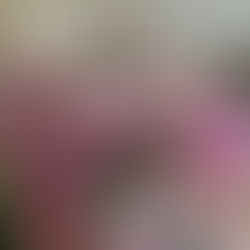 Sustainable Eco Friendly Dried Wedding Flowers