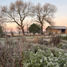 A Late-November Round-Up from Birch Farm