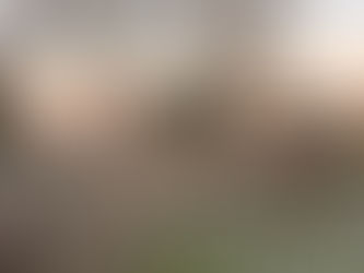 A Late-November Round-Up from Birch Farm