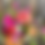 Thumbnail: Luxury Hand Tied Flower Bouquet