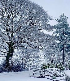 Birch Farm Manchester