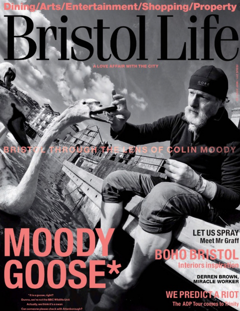 bristol interior designer