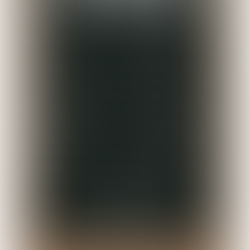 Next ABC Will Not Meet Global South Orthodox Standards on Biblical Sexuality