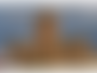 2025: A Year to Forget//Is GAFCON and GSFA the future of the Anglican Communion? //TEC Faces Decline and Canon Application Failures//