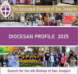Episcopal Church’s Rump Dioceses Limp Along Following Realignment 