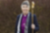 Iranian regime ‘in its death throes’, says bishop who left after revolution