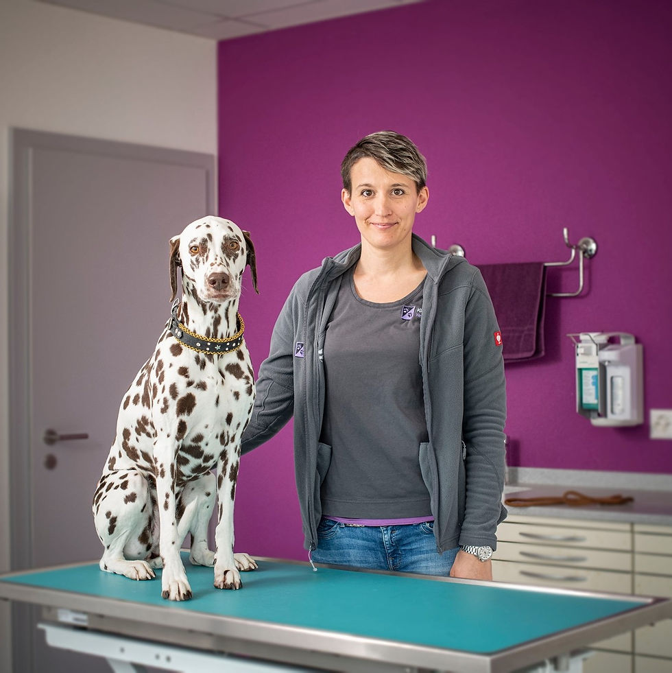 Nothelferkurs für Hunde mit der Tierärztin Romaine Werlen in Eyholz