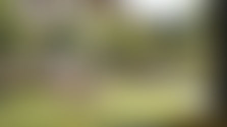 Bất động sản thấp tầng như Artisan Park được kỳ vọng là điểm đến của nhà đầu tư và cư dân