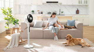 Làm mát lên đến 30m với quạt tuần hoàn không khí cao cấp Levoit 22.9 cm