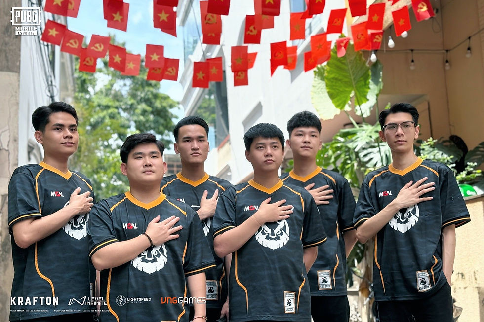 Đội tuyển MGN Vikings Esports