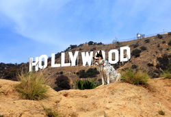 web72-workedIMG_9970