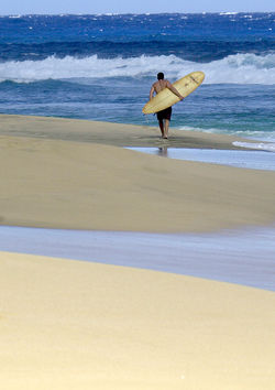 northshore_surfing1