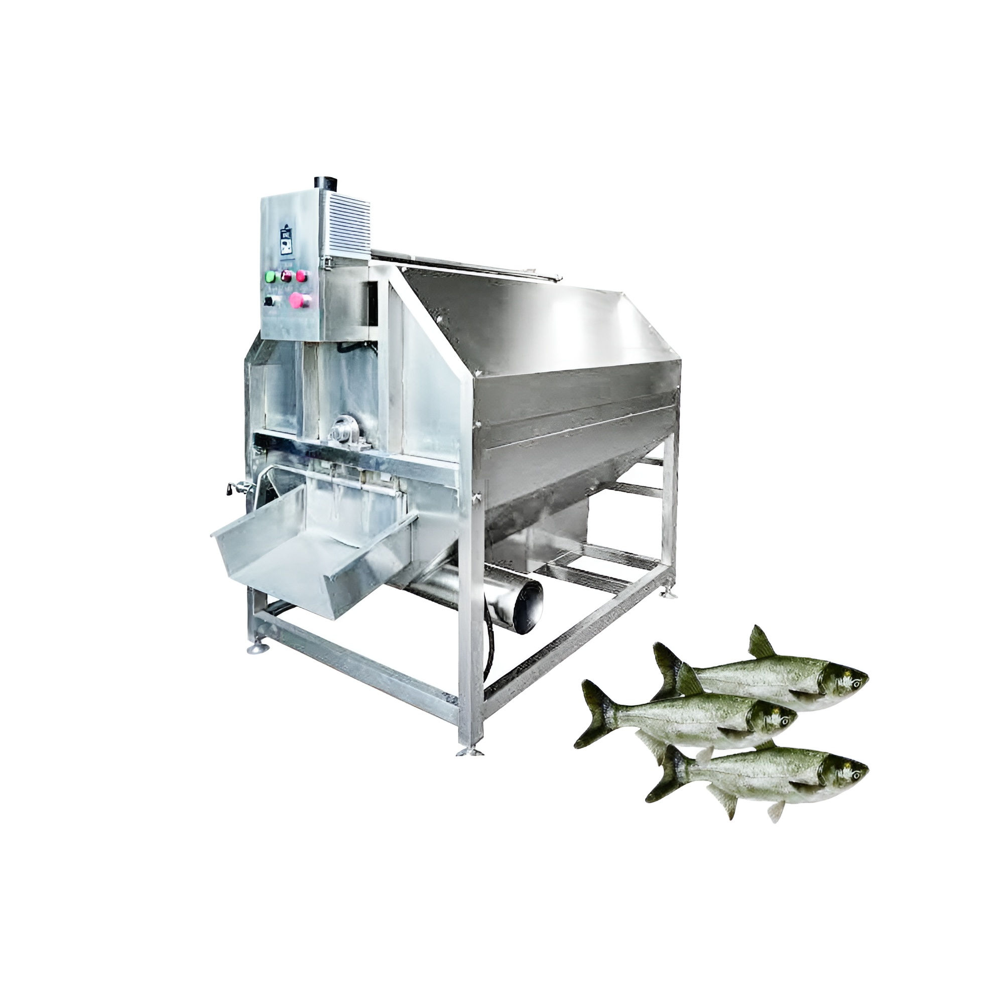 RC 688 - Drum Fish Scaling Machine