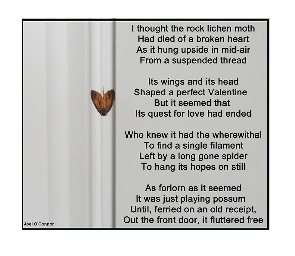 Love's thread