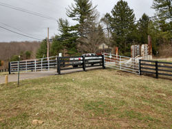 116095742_237324070585406_42343428047686