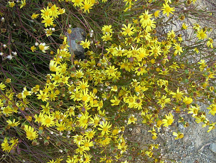 DSCN1048.JPG