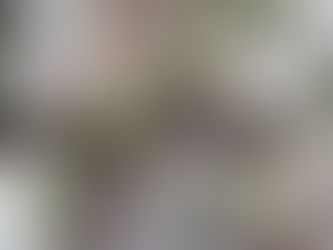 群馬県の石積みのフィールドへ