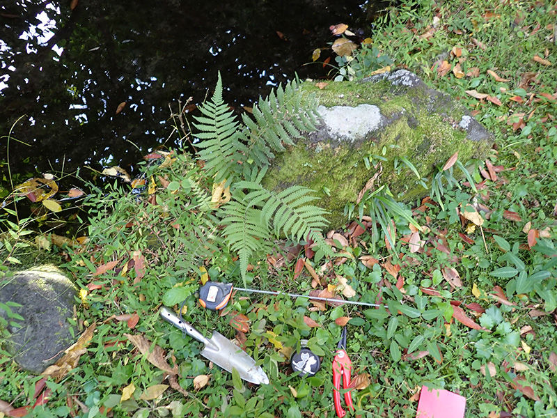 万博記念公園自然文化園へ