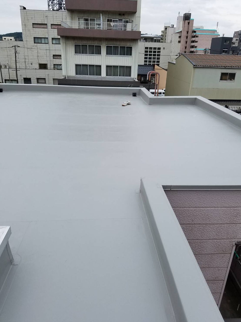 9140442902279