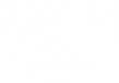 Swim-the-Night-White-Only(Rev).png