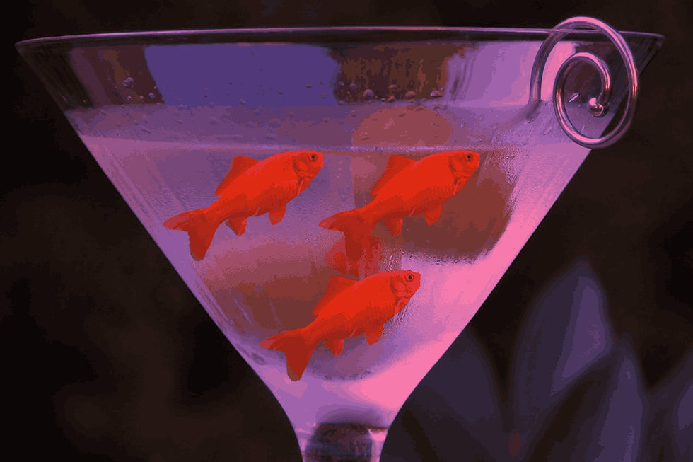 Goldfish survive winter with alcohol