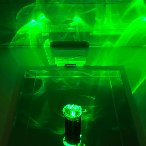 Dizzy Laser Turtle