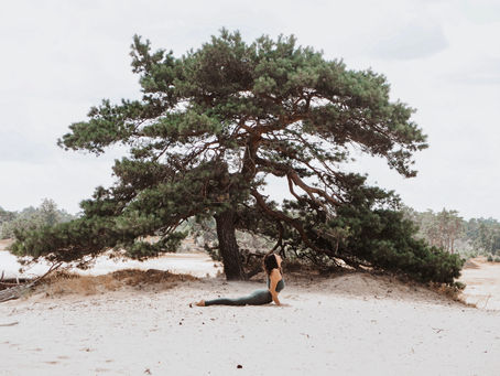 The tree, a dear friend.