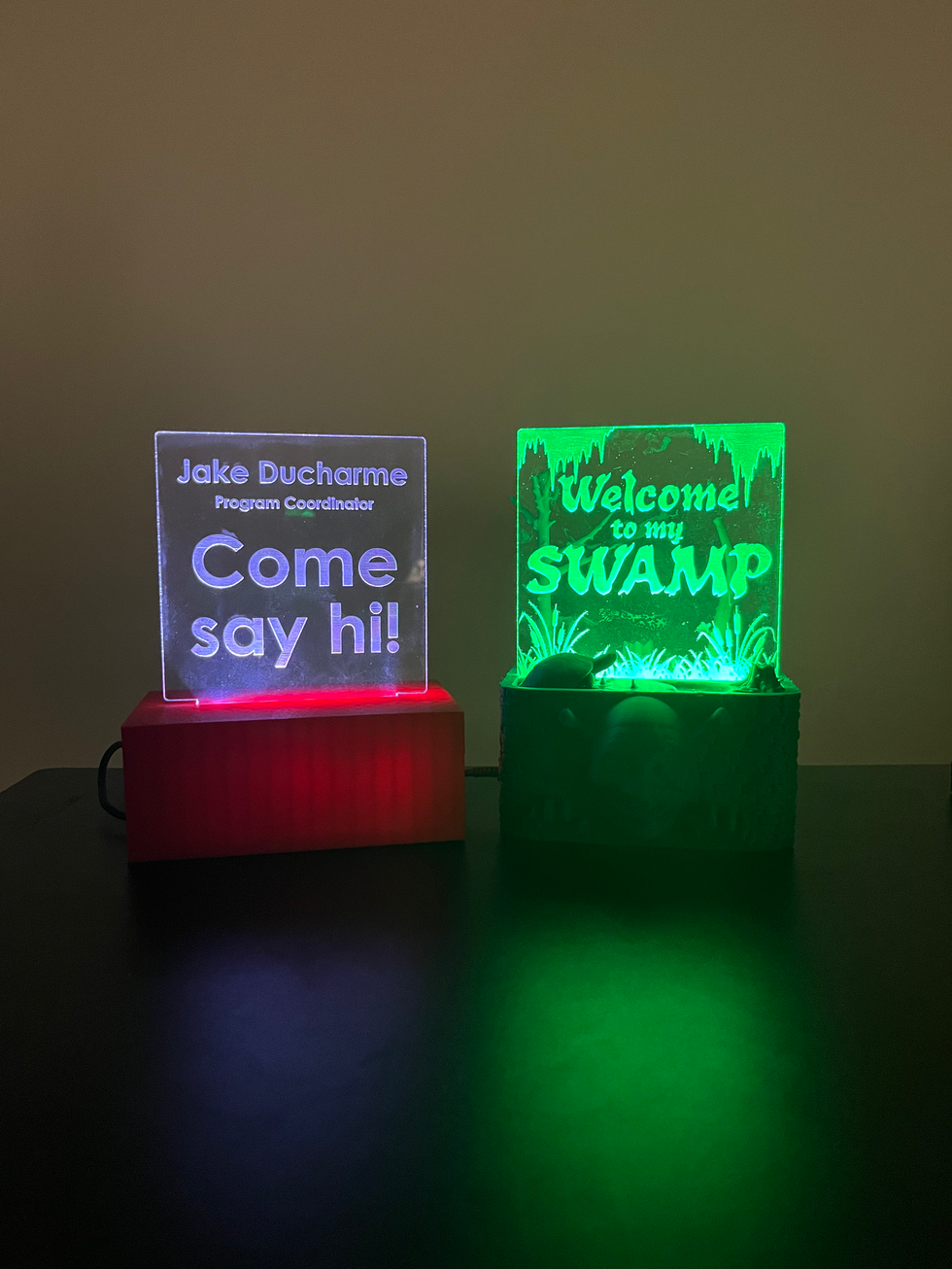 lit up LED sign examples