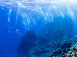 Divers