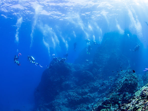 scuba divers