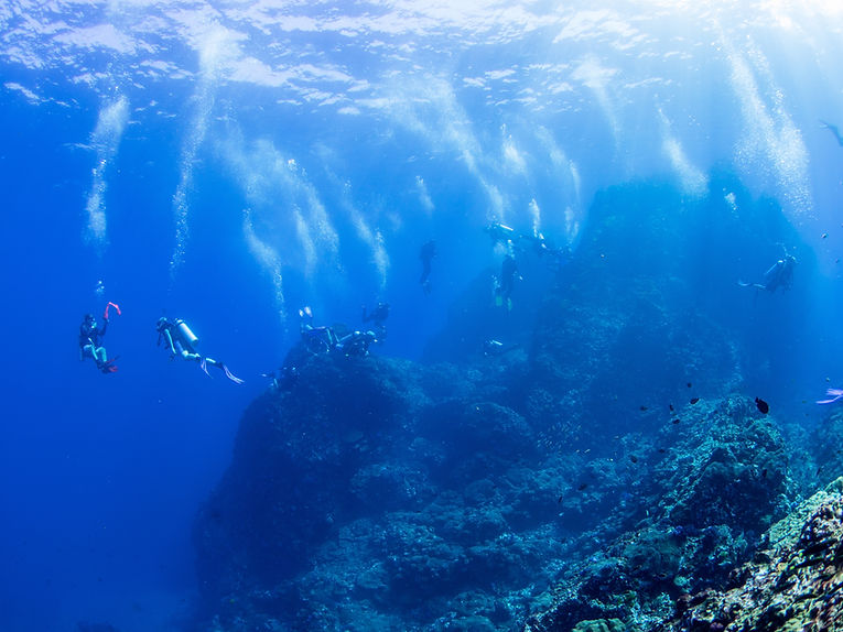 Divers
