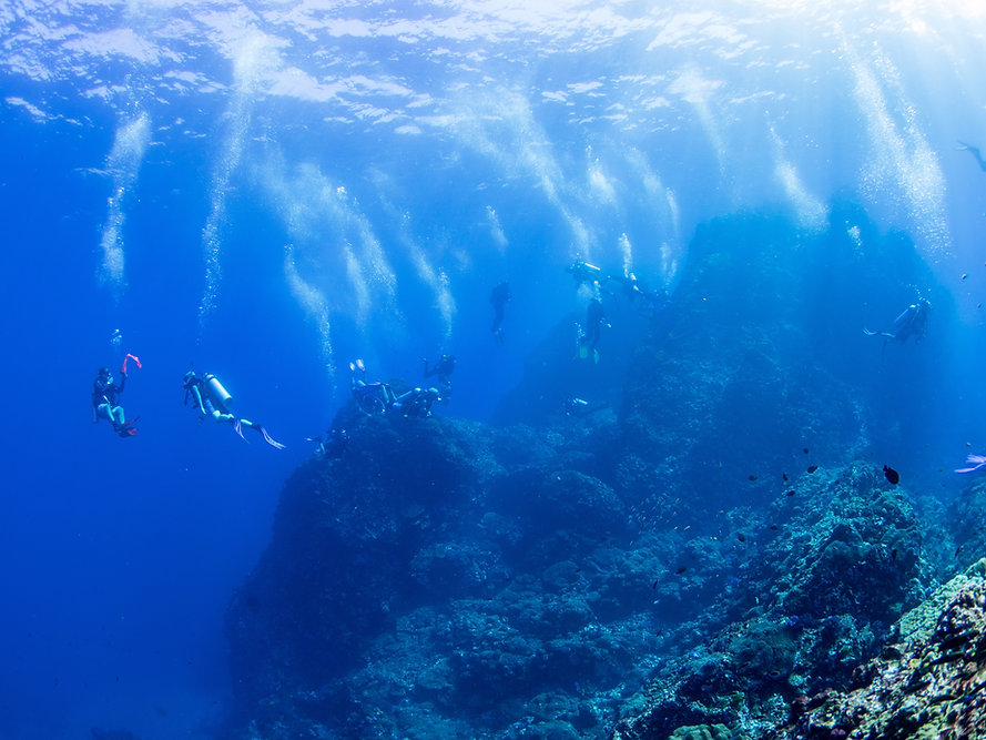 Divers