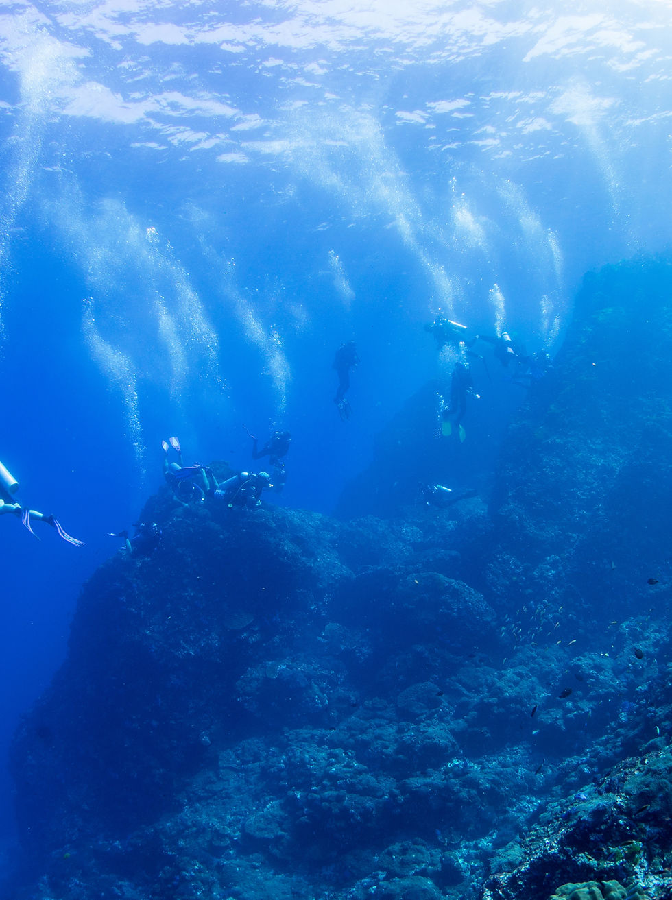 Divers
