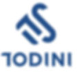 todini
