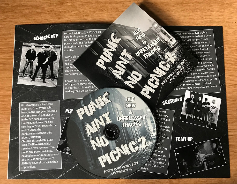 Thumbnail: Punk Aint No Picnic VOL 2  CD + Booklet