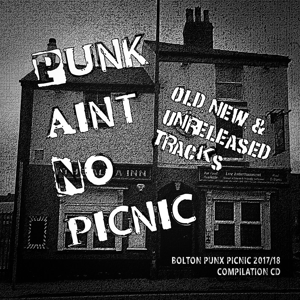 Punk Aint No Picnic VOL 1  comp CD+ Booklet